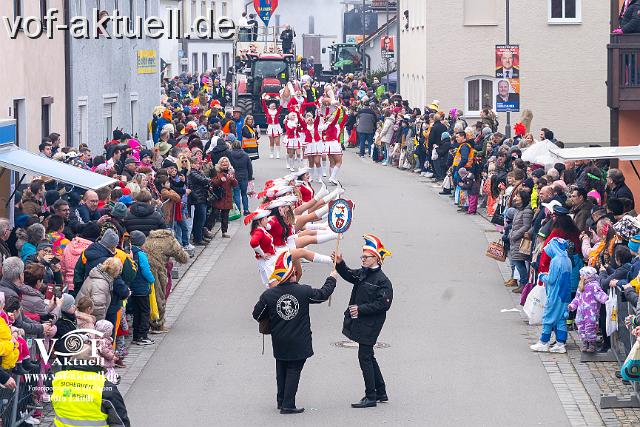 Foto Laudi_Pleintinger_Faschingszug-206089.jpg